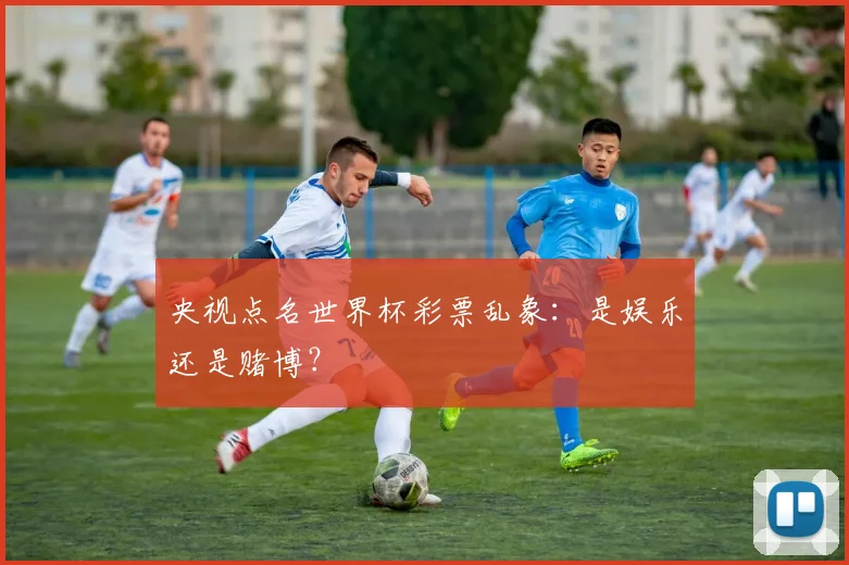 央视点名世界杯彩票乱象：是娱乐还是赌博？