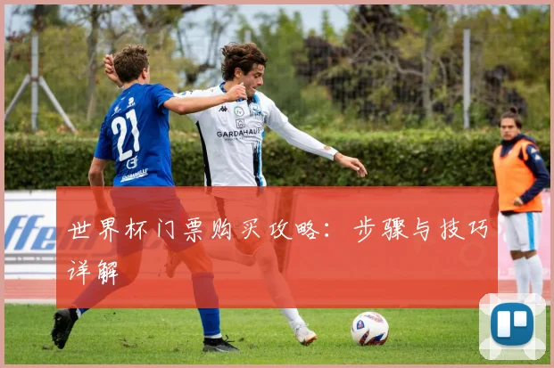 世界杯门票购买攻略：步骤与技巧详解